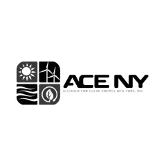 ACE NY