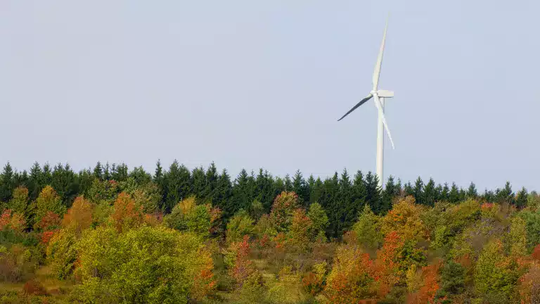 Turbine with foliage